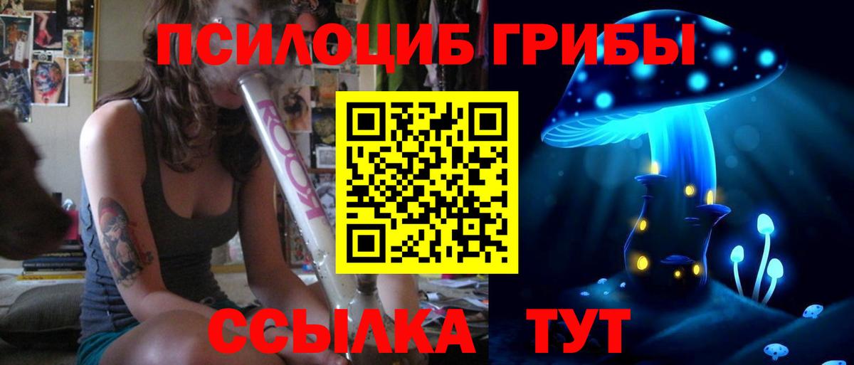 Псилоцибиновые грибы Psilocybe  Вход с VPN  Гусиноозёрск 